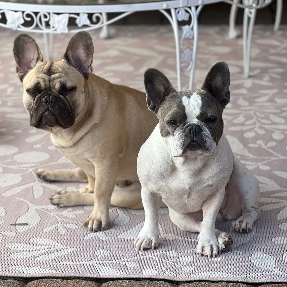 Lakefront Lux Live Show - Picture 14 of 14